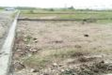 300 Square Yard Plots For Sale At Selaqui Atak Farm, THDC Colony,Dehradun.